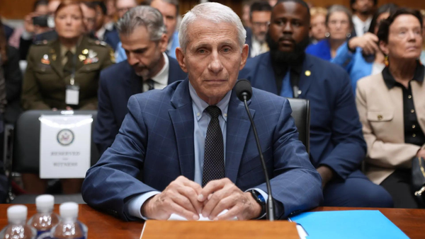 Anthony Fauci invokes Fifth Amendment at Senate hearing on Covid response