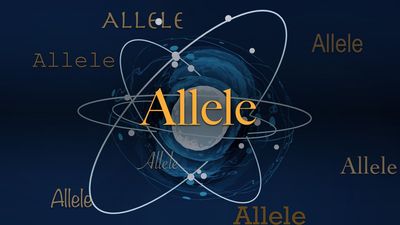 Science word of the day: Allele