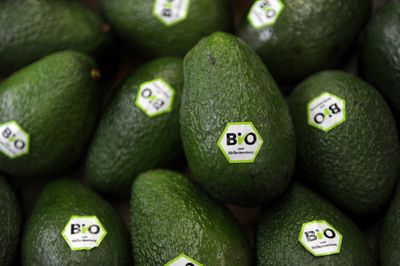 Many Foods Labeled 'Made with Avocado Oil' May Contain Different Oils, UC Davis Reports