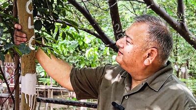 3 crore trees, 6 lakh acres and the Green Revolution | NL interview with Peepal Baba
