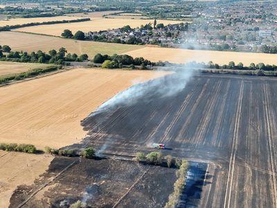 Watch: Huge grass fires rage in east London amid 'exceptionally high' wildfire threat
