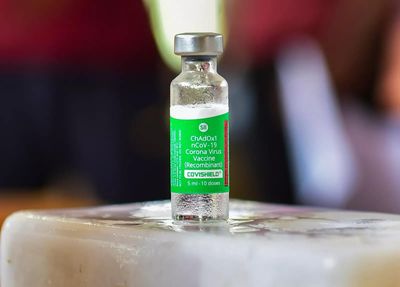 Chinese military scientist sent coronavirus vials to US in 2018, died mysteriously in 2020: Report