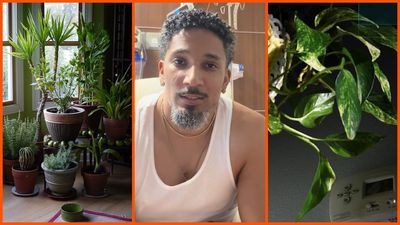 Houston man kept 67 plants in his home and thought nothing of it. Then he ended up in the hospital needing a heart transplant