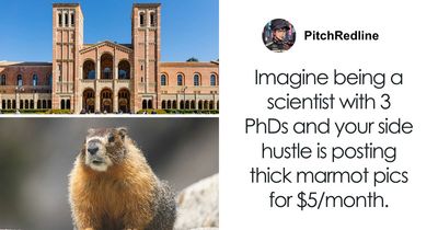 “It’s Rare To See Anyone Use It For Good”: Professor Breaks Silence On Viral Adult Platform Marmot Campaign