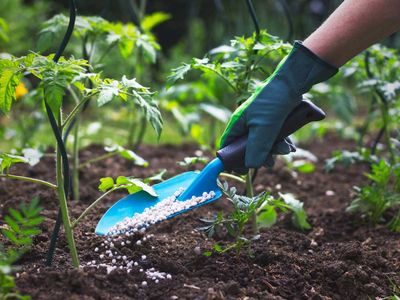 Fertiliser industry seeks hike in subsidy rate for Kharif season due to rising raw material cost