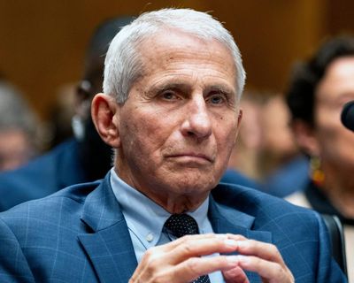 Anthony Fauci’s high-profile Senate hearing: what we learned