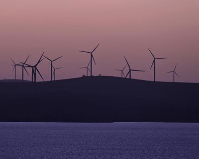 Morning Mail: headwinds for green revolution, Football Australia’s Fifa deadline, Fauci takes the fifth