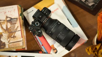 I will ALWAYS use zoom lenses over primes – and no, it’s not about cost, it’s about not missing the shot