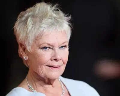 Quote of the day by Judi Dench: 'I think you should take your job seriously, but not...' Life lessons from inspirational quote on work-life balance, humility, hard work, ego, self-importance, work ethics, commitment, dedication, reliability and approachability