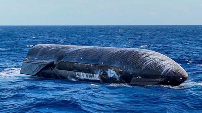 SpaceX Starship still floating 5 days after flight | Space photo of the day for July 29, 2026