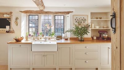 12 Kitchen Cabinet Color Ideas That Guarantee Timeless Style and Characterful Design