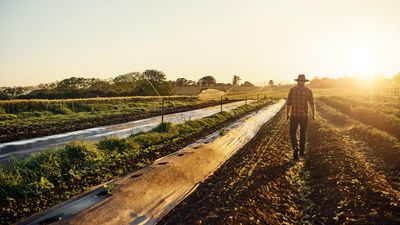 Invasive species are an evolving threat: how we respond is crucial