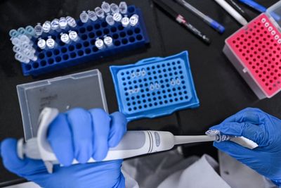 The Largest Genetic Study of Fibromyalgia Found 26 Risk Regions, and One of Them Is Already a Drug Target