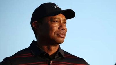 Quote of the day by Tiger Woods: "Talent is something you are born with, and a skill is something you…" - a lesson on why practice matters more than natural ability
