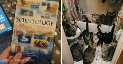 47 Times Men Came To A Woman’s Home And Completely Freaked Out