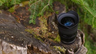 Sony owns a key slice of Tamron shares. A report hints that Sony wants more