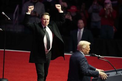 Getting 'carried away' again? Musk's million-dollar plan to rescue Trump in mid-elections