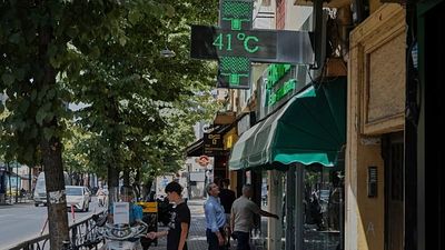 Europe's heatwaves are fuelling infectious diseases, health agency warns