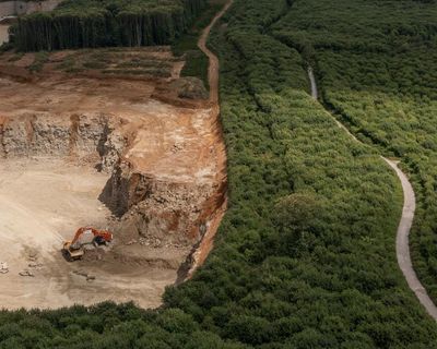 ‘It’s irreplaceable’: Fury over Reform plans to expand quarry in ancient Kent woodland