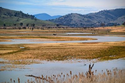 England Droughts Declared After Rainfall Falls to Just 7% of Normal in July