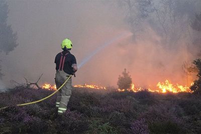 Firefighters battle major wildfire near Suffolk nuclear power plant