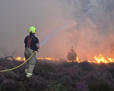 Hundreds evacuated after ‘apocalyptic’ wildfire near Suffolk nuclear power station
