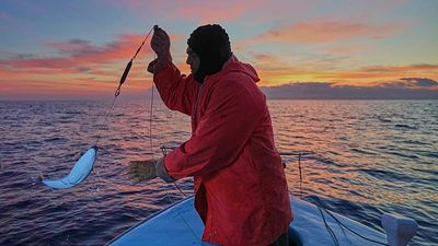 ‘Lost forever’: What does the future look like for a Mediterranean flooded with invasive species?