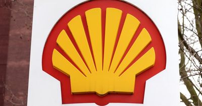 Outrage as 'maniacal' Shell profits amid backdrop of war and wildfires