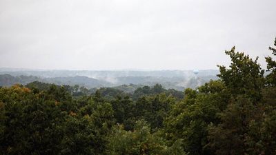 Ohio planted nearly 7.2 million trees on more than 5,500 acres of abandoned mines; barren ground began turning back into forest
