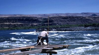 A Washington fisherman was arrested over 50 times for fishing on his ancestral river; his struggle made tribes legal co-managers and protectors of salmon