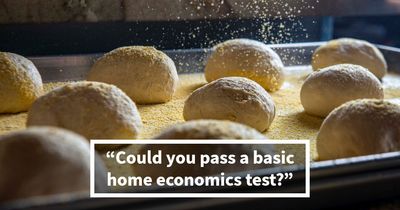 “Think You’ve Mastered Adulting?”: Test Yourself With These 20 Home Economics Questions