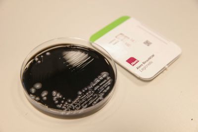 Sixth Death Reported in Upper East Side Legionnaires Outbreak Even as New Cases Stop Appearing