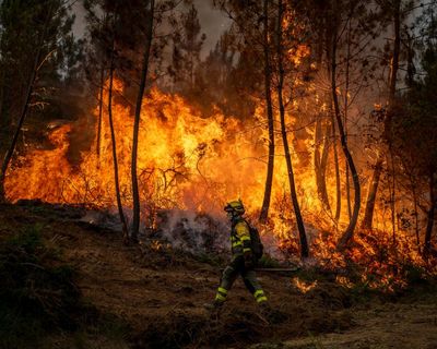 Europe is burning – and if Trump’s war on the climate is not met with sanctions, things will only get worse