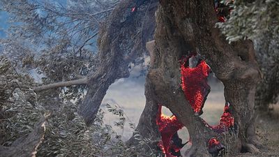 Crete wildfire kills two firefighters as fierce flames spread in Greece