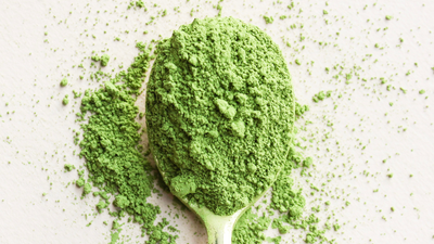 Japan’s matcha faces hotter nights and erratic springs, but scientists say DNA tools could help protect its flavour and yield