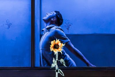 Audience member faints on opening night of London play during graphic scene