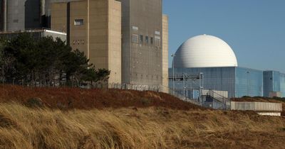 Nuclear power station 'on alert' in England over nearby wildfire