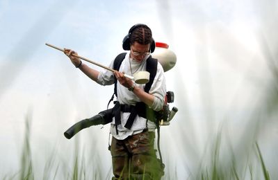 Some Counties Cannot Afford to Track Mosquitoes, and the CDC Says Its Own Counts Are Incomplete
