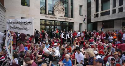 Police arrest 117 people for backing Palestine Action at London demo