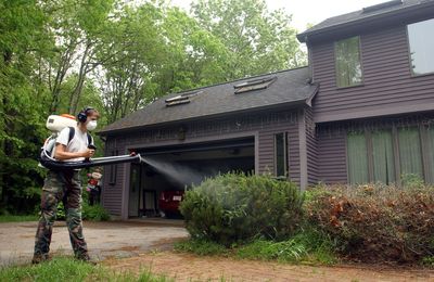 West Nile Virus Turns Up in Bay Township Mosquitoes as Ohio Logs 62 Positive Samples