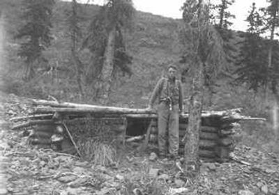 In 1939, a wildlife biologist hiked 1,700 miles through Alaska's Denali to learn why sheep were vanishing; he found winter, not wolves, was to blame