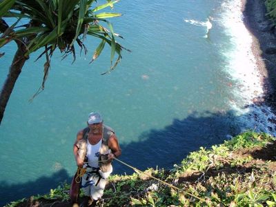 For 30 years, a Hawaii botanist climbed 3,000-foot sea cliffs without a rope to hand-pollinate tiny flowers and returned months later to collect their seeds