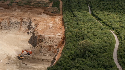 In 1600, Oaken Wood was already an established English woodland; in 2026 Kent proposed quarrying 41 hectares for stone used in historic buildings