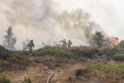 Burnham pledges support for crews tackling ‘very serious’ Suffolk wildfire
