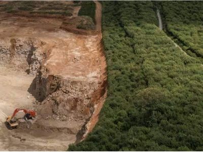 A 400-year-old English forest could be sacrificed for stone used in Britain's historic landmarks