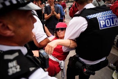 Over 100 arrested at London Palestine Action demo as co-founder told she can challenge terror ban at Supreme Court
