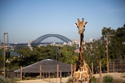 Why would I waste my precious holiday time going to a zoo in another country?