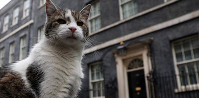 As Larry the cat welcomes yet another prime minister, an expert explains how pets adapt to change