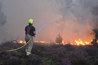 Suffolk wildfire continues to grow as Burnham pledges support for firefighters