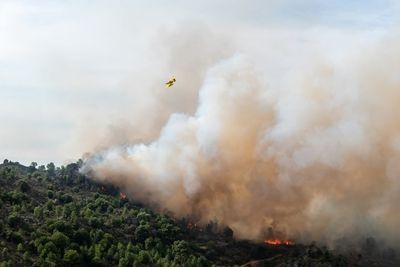 Europe Heatwaves Could Turn Into a 'Big Economic Challenge' as Wildfires Spread, Analysts Warn— Insurers Brace for Impact